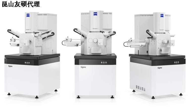 临高临高蔡司扫描电镜